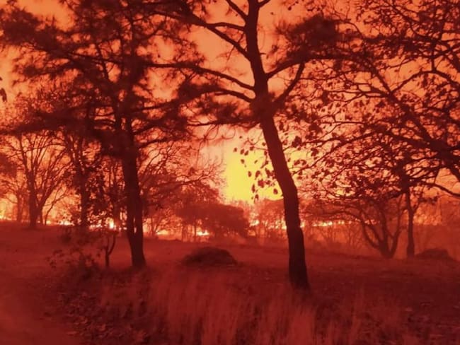 Incendio continúa en el Bosque de la Primavera en Jalisco