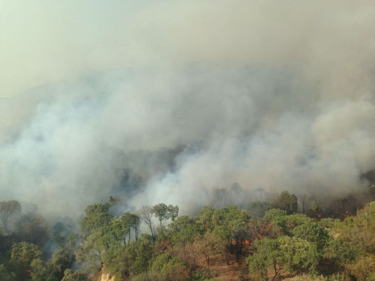 Van 250 hectáreas afectadas y dos brigadistas lesionados por incendio en La Primavera