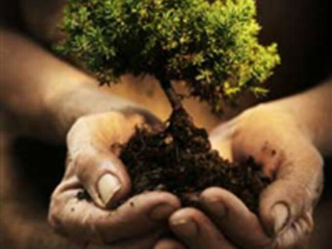 EU llega débil a COP 16: WP