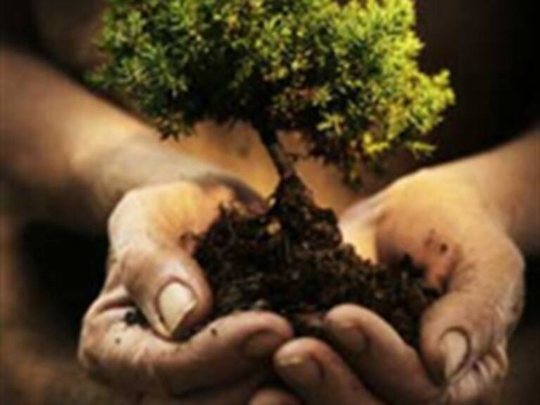 EU llega débil a COP 16: WP