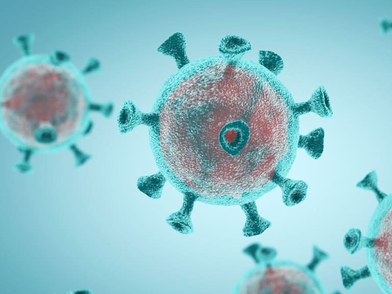 La OMS viaja a China para conocer el origen del coronavirus