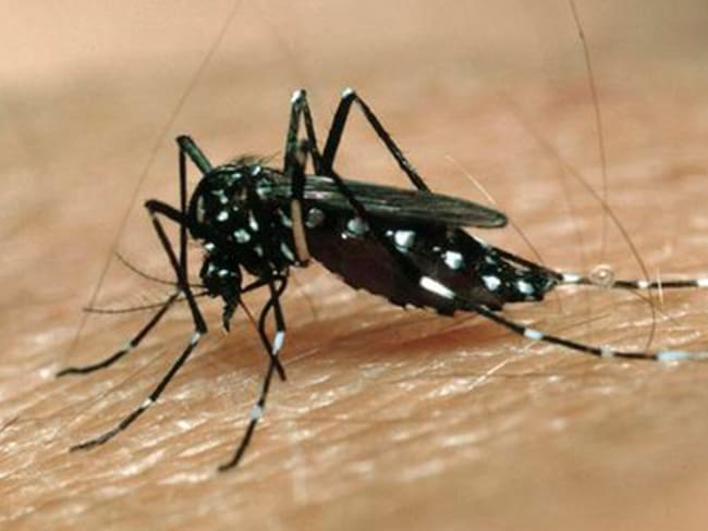 Primera muerte por dengue en Jalisco