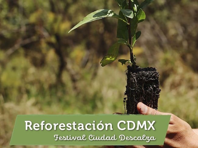 Ciudad Descalza, un evento para reforestar la Ciudad de México