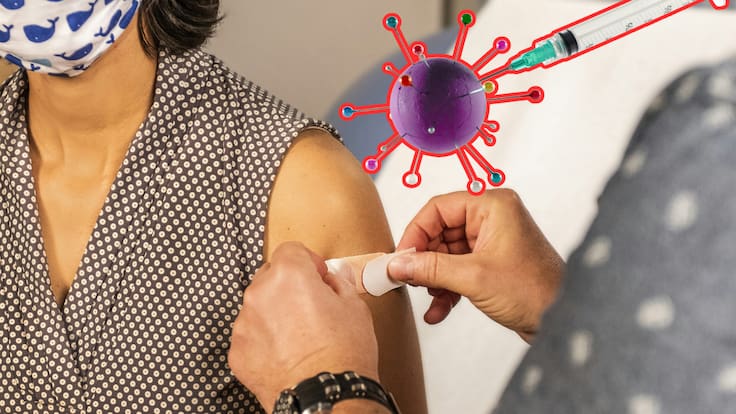 Virus Nipah: Así es como se transmite de humano a humano según la OMS