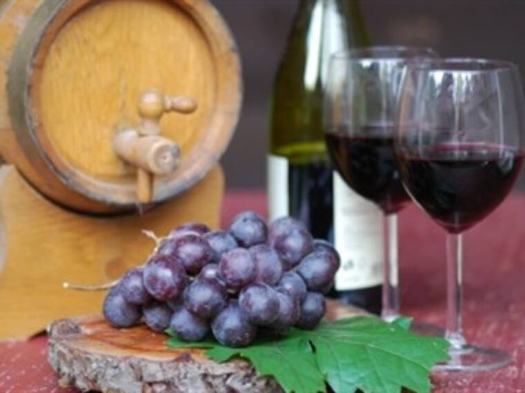 Uvas, barricas y maridaje, todo sobre el vino