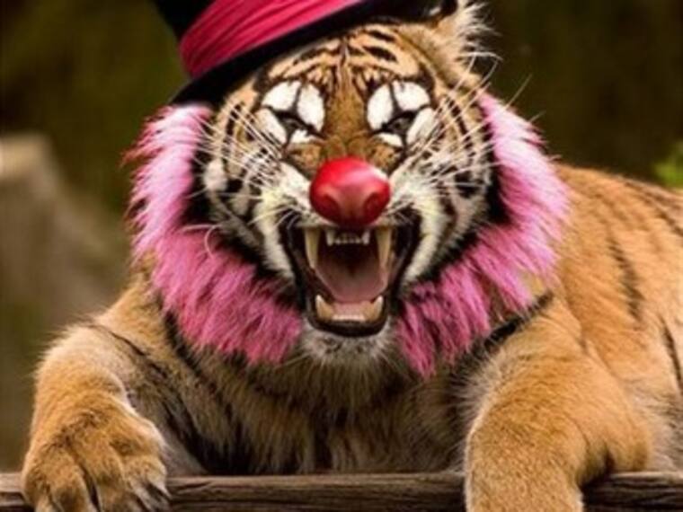 Lo menos peor de la semana por Karina Díaz, reportera