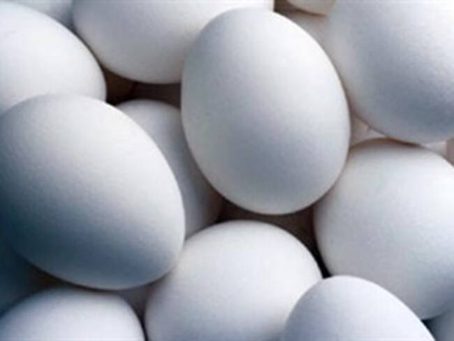Asegura EU que huevos con salmonella se contaminaron por alimento de pollos