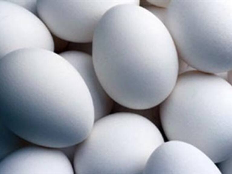 Asegura EU que huevos con salmonella se contaminaron por alimento de pollos