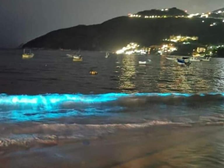 Se ilumina playa Puerto Marqués en pleno confinamiento por COVID-19