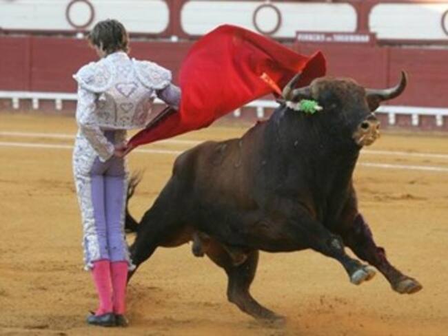 Posponen en ALDF decisión sobre corridas de toros
