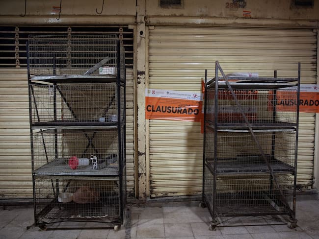 Mercado de Sonora: Prohibición de venta de animales detonará comercio ilegal, advierten comerciantes