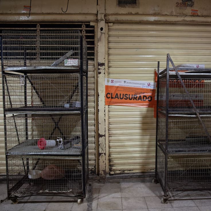 Mercado de Sonora: Prohibición de venta de animales detonará comercio ilegal, advierten comerciantes