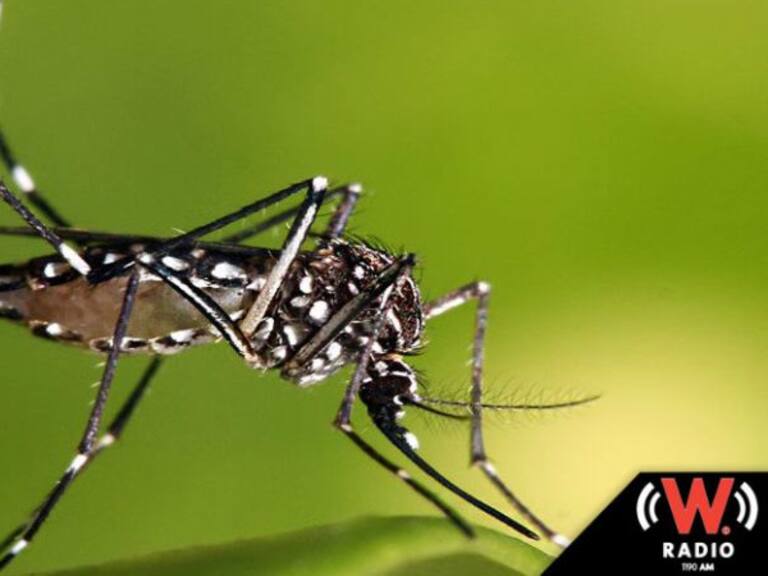 Arranca Jornada Nacional contra el Dengue
