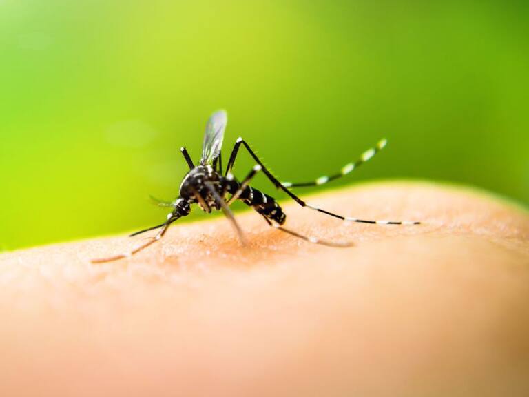 Presume Tlaquepaque lugar 36 en casos de dengue