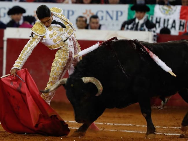 Juez suspende corridas de toros en la Plaza México