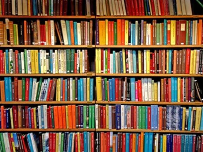 Baja presupuesto para el INBA, Conaculta y Cineteca Nacional en 2014