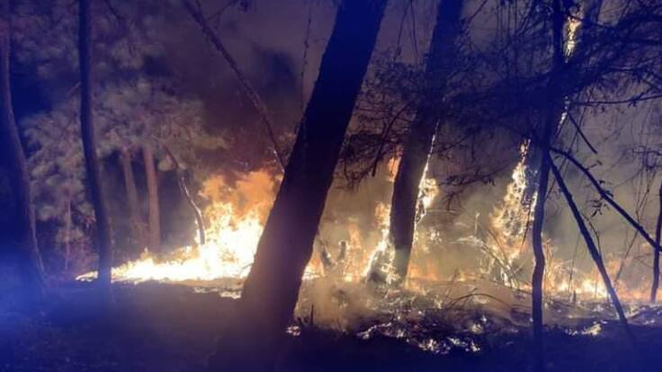 Superan las 5 mil hectáreas consumidas por incendios forestales en el Edomex
