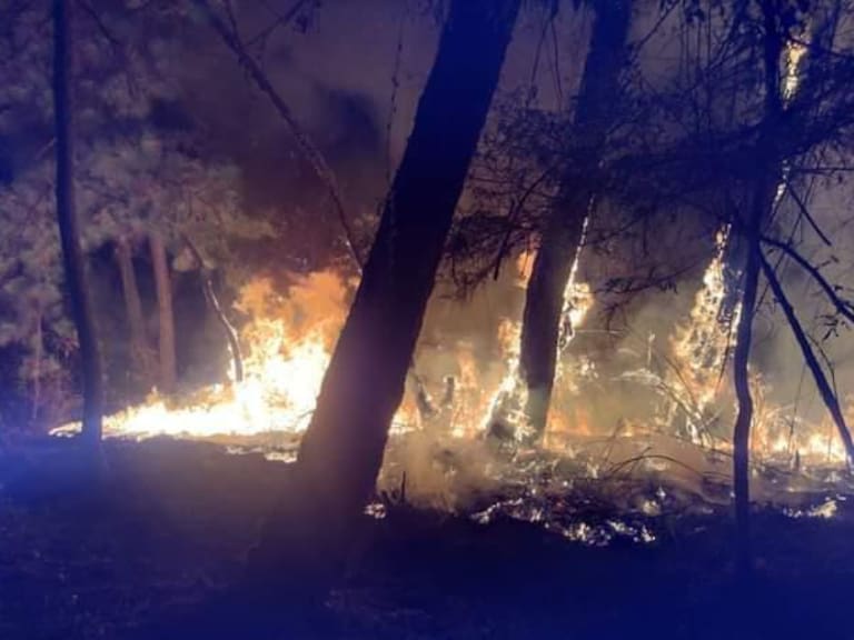 Superan las 5 mil hectáreas consumidas por incendios forestales en el Edomex