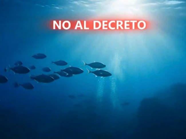 ¡Alerta ambiental en Loreto! Pobladores exigen al Senado frenar decreto que permite megacruceros en BCS