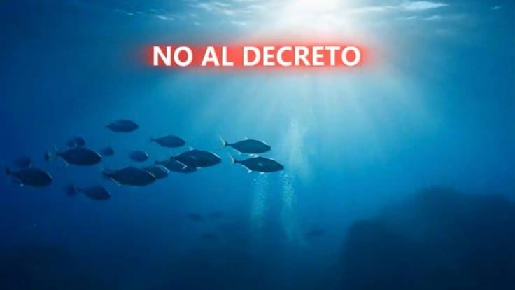 ¡Alerta ambiental en Loreto! Pobladores exigen al Senado frenar decreto que permite megacruceros en BCS