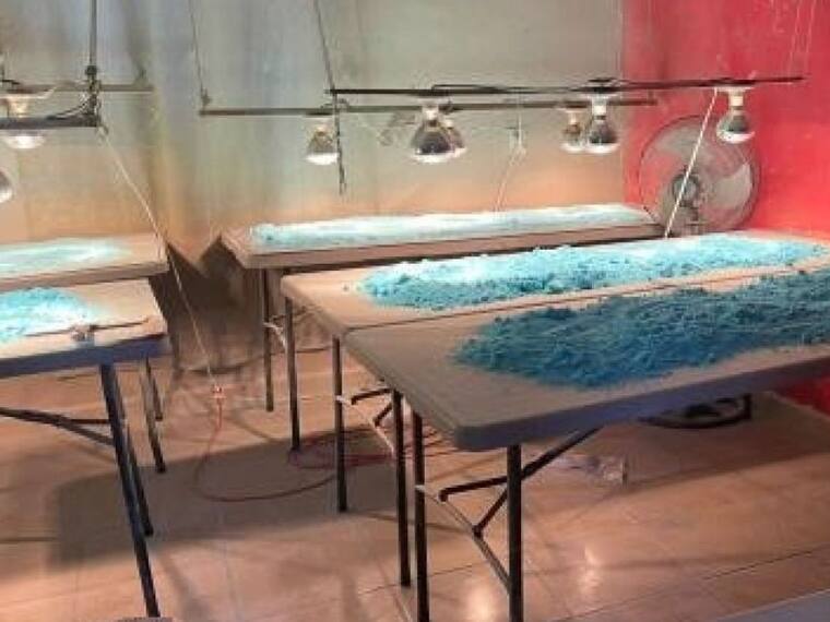 EEUU vs China por envío de precursores de fentanilo a México.