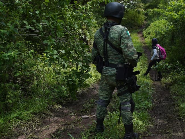 Diputada denuncia hallazgo de más de 50 cuerpos en fosas en Michoacán