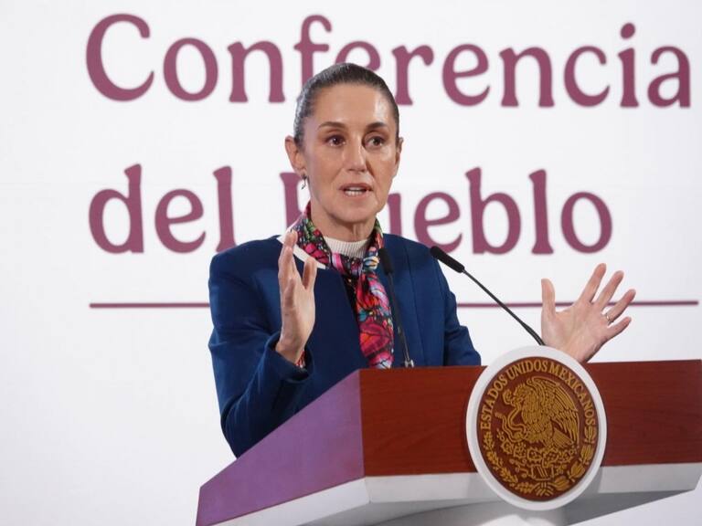 La presidenta, Claudia Sheinbaum, confirmó el fallecimiento de 17 menores por el brote de Infección del Torrente Sanguíneo (ITS) causado por la bacteria Klebsiella oxytoca, pero desde el día 3 de diciembre no se ha registrado ningún caso.