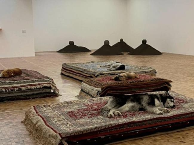 Busca Congreso sanción por la exposición del Museo Tamayo que usó animales