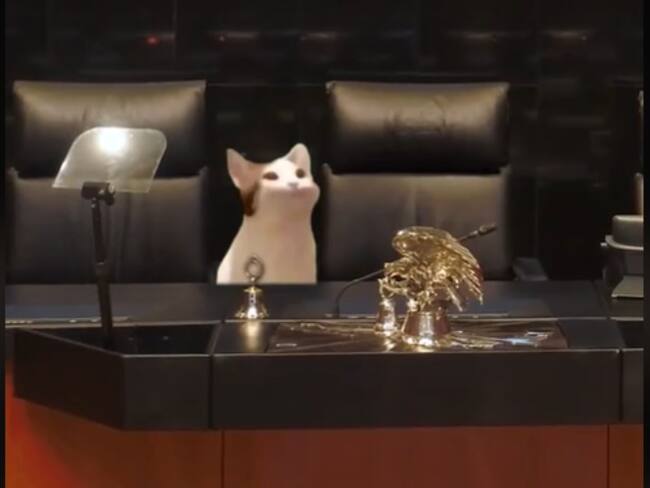 ¡Con michis! El Senado explica aprobación de reformas en TikTok