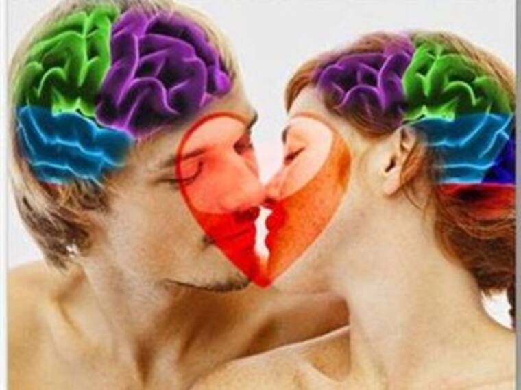 Sexo en el cerebro - Fisiología de la respuesta sexual