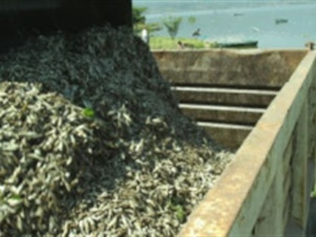 Lo que hay que saber en 'Así Las Cosas'