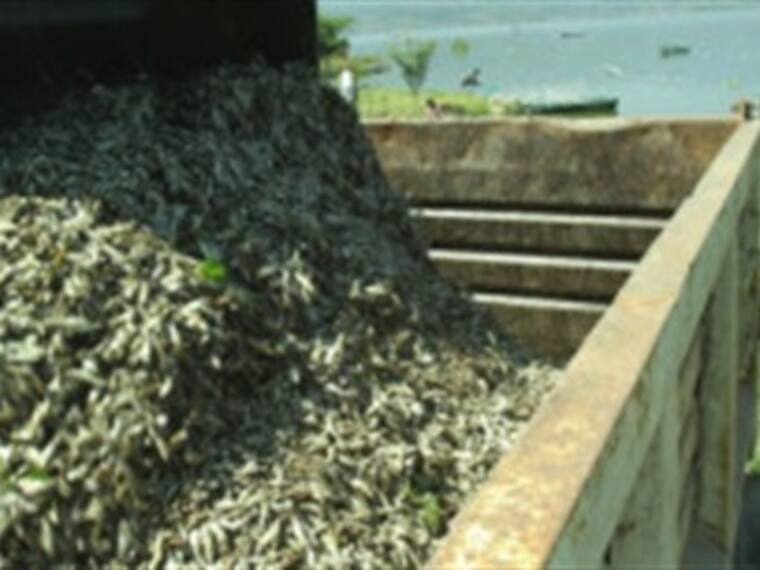 Lo que hay que saber en 'Así Las Cosas'