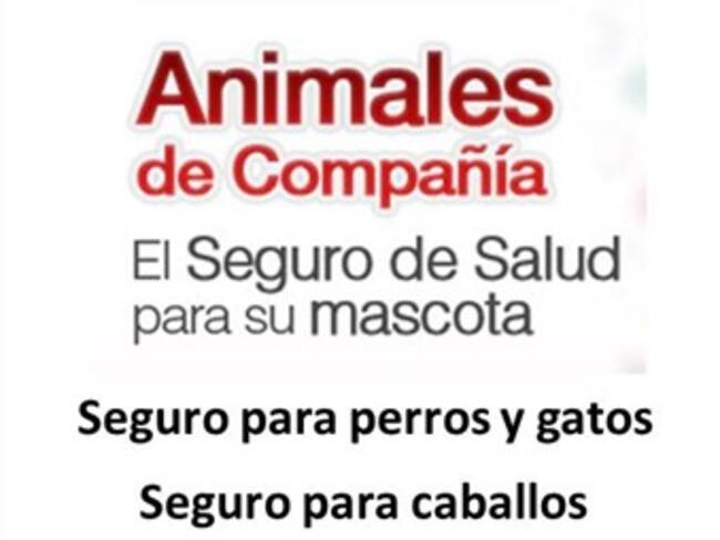 Seguro para perros.'El reino animal' con Marielena Hoyo