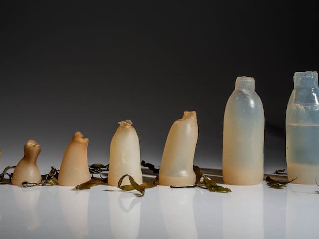 Esta botella hecha con algas podría ser una solución a la contaminación