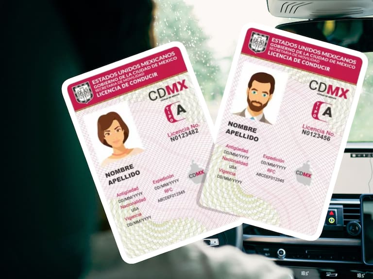 Mx - Licencia de conducir digital Tlaxcala