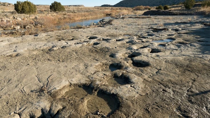 Sequía en Texas revela huellas de dinosaurio en un río seco | VIDEO