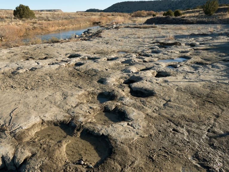 Huellas de dinosaurio en Texas por sequía (Imagen ilustrativa).