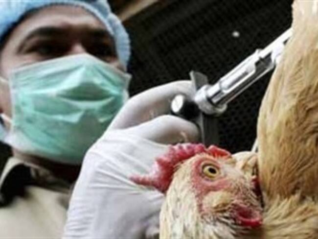 De nuevo gripe aviar cobra vida humana
