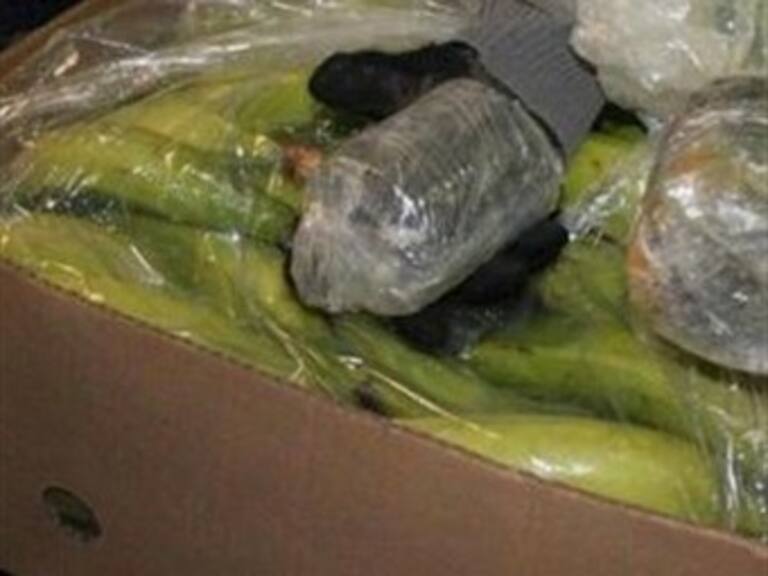 Encuentran 162 kilos de cocaína ocultos en plátanos de plástico