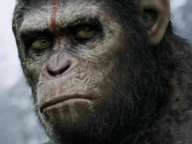 De película W: 'El planeta de los simios, Confrontación'