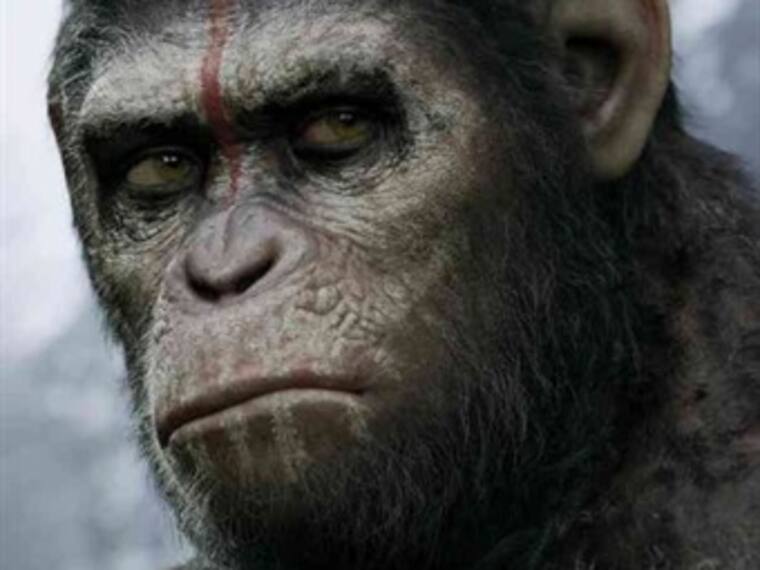 De película W: 'El planeta de los simios, Confrontación'