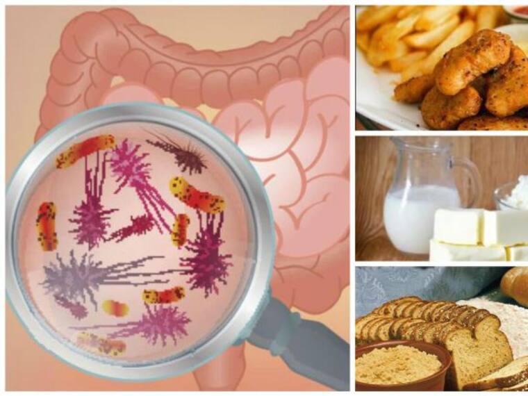 ¿Cómo afectan las bacterias intestinales en nuestro peso?