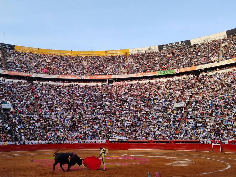 De cara a la prohibición de las corridas de toros “con violencia”, en la CDMX; el 75% de los capitalinos está en contra
