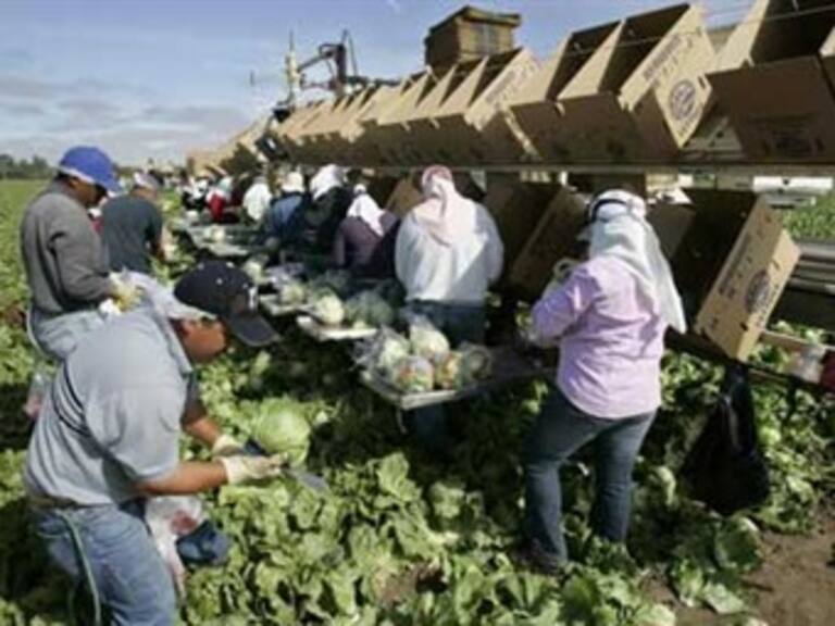 Condena Presidencia ley antiinmigrante en Arizona