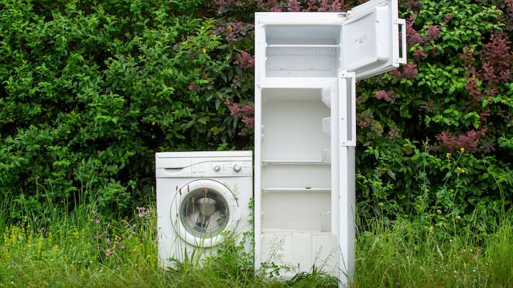 CFE 2026: ¿Sigue vigente el programa para cambiar refrigeradores y lavadoras?