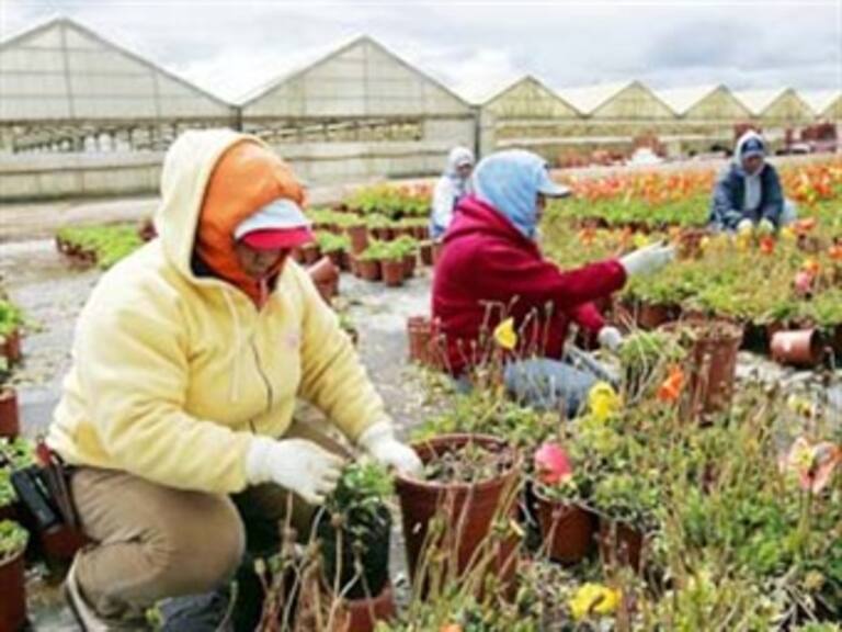 Aumenta la discriminación hacia trabajadores migrantes: OIT