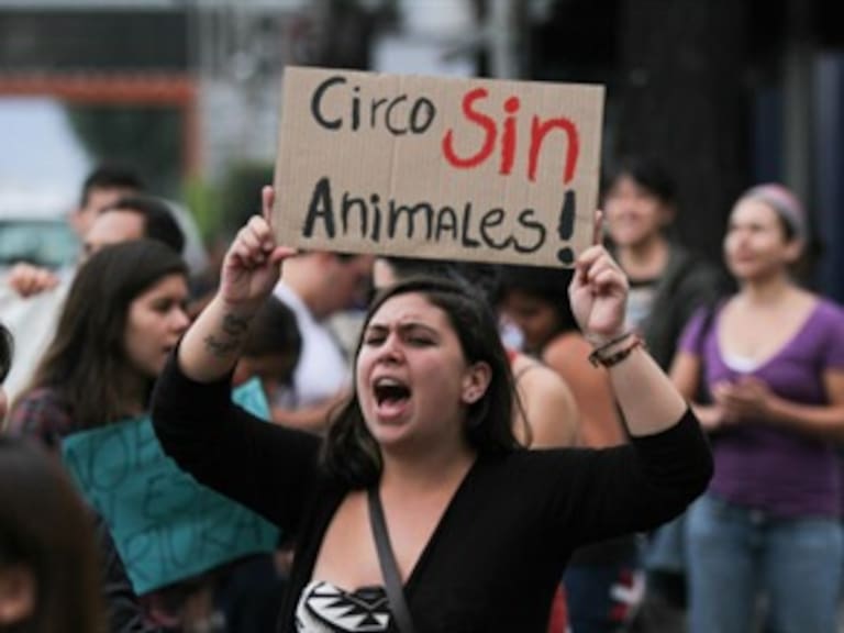 ​Prohíben circos con animales en Coahuila