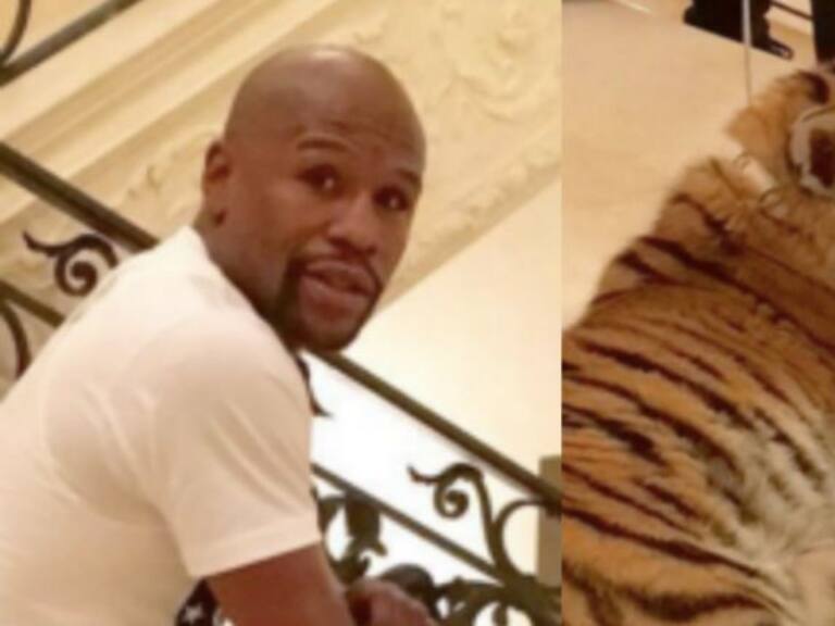 Mayweather pasea en Rusia con dos tigres como “mascotas”