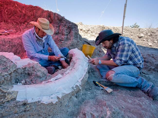 Descubren una nueva especie de dinosaurios en Coahuila. ¿Quién es el ‘Mexidracon’?