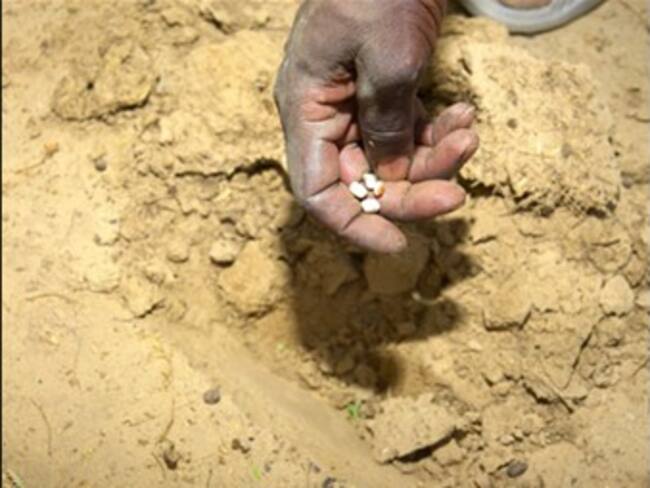 El mundo 'no aprendió nada' de la crisis alimentaria